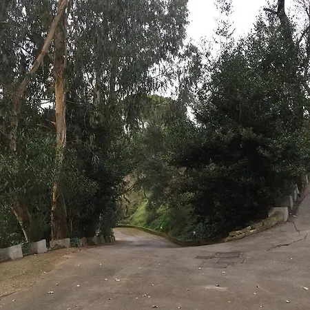 Отель типа 